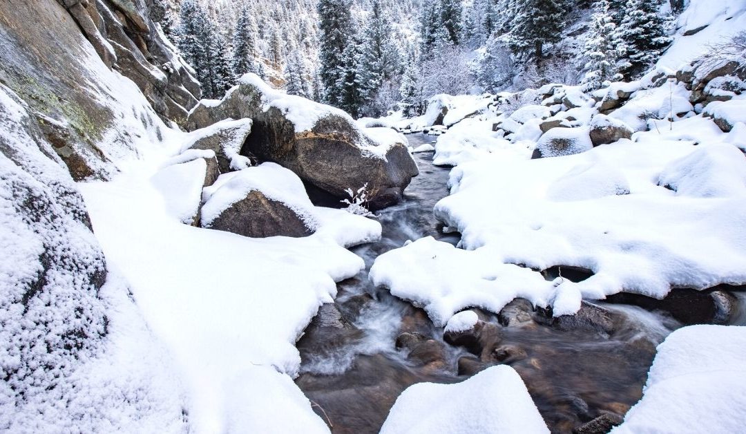 Spring Break in Colorado