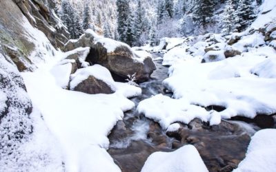 Spring Break in Colorado